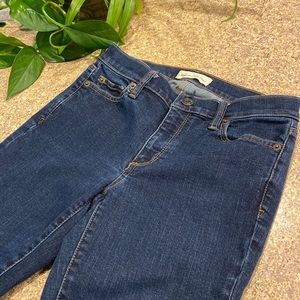 Gap True Skinny Blue Jeans 24R